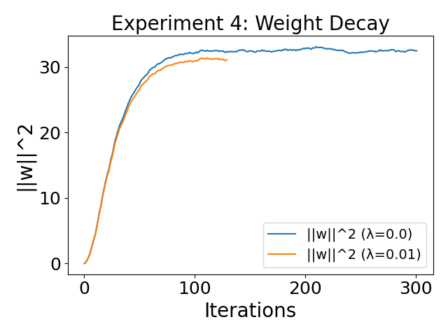 Squared parameter norm under weight decay.